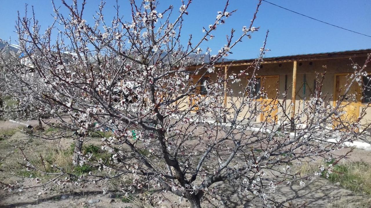 Eldos-Ata Eco Hotel Tossor Bagian luar foto